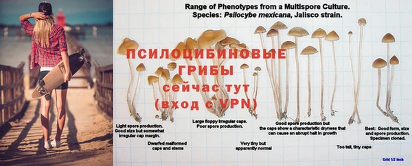 каннабис Горняк